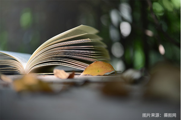 2025��Ȫ��ʯ�{�п����n��զ�a����