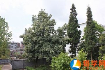 �܌��I(y��)�Ќ��W(xu��)У