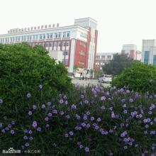 �L(zh��ng)̩����