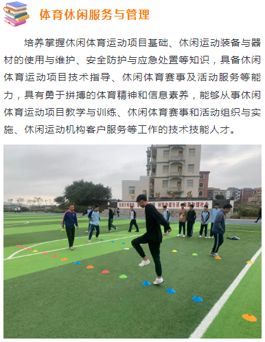 �w�����e����(w��)�c����