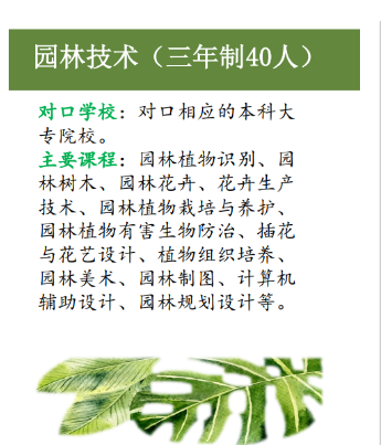 �����h�I(y��)�ЌW(xu��)�@�ּ��g(sh��)�����ꌣ�����I(y��)��B