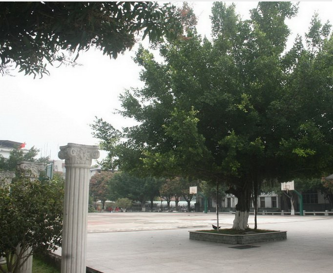 �Ͼ��h��(sh��)�(y��n)�ЌW(xu��)��(ji��n)��