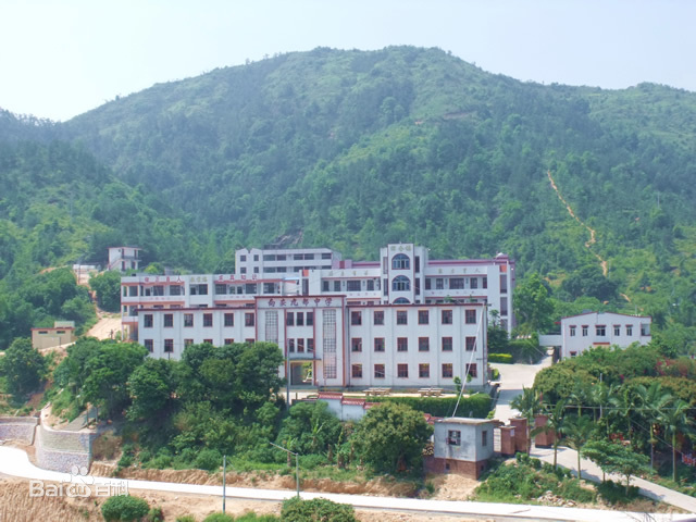 ���¾Ŷ��ЌW(xu��)����