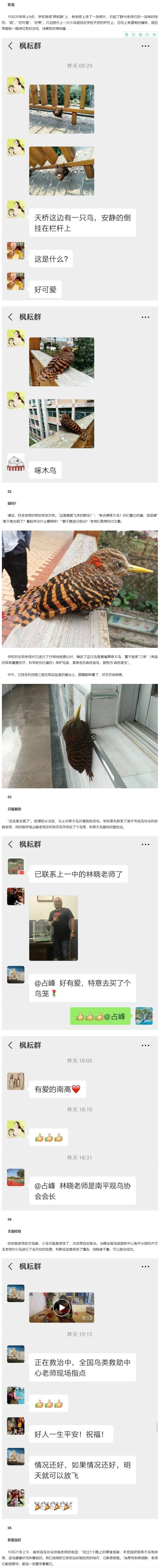 ��ƽ�и߼��ЌWУ�@�Аۡ�����ľ�B����