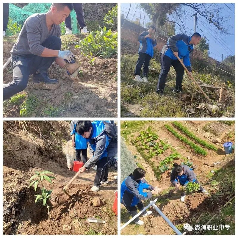 ϼ���I(y��)�Ќ��W(xu��)У�����x��(w��)ֲ�� �����Ї�����ϼ�����h�����F(tu��n)�����}���