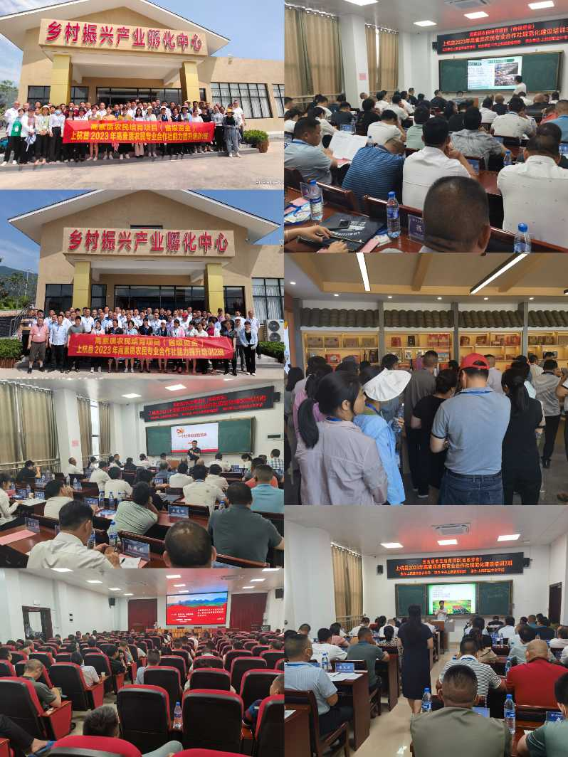 �Ϻ��I(y��)�Ќ��W(xu��)У�������|(zh��)�r(n��ng)�������r(n��ng)�񌣘I(y��)�����玧�^����Ӗ(x��n)������e�k
