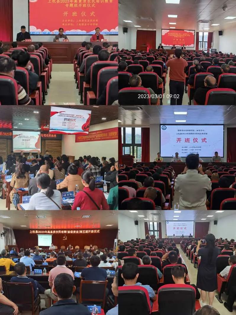 �Ϻ��I(y��)�Ќ��WУ���Ϻ��h2023��ȸ����|�r(n��ng)��������ʡ���Y���΄ՈA�M�չ�