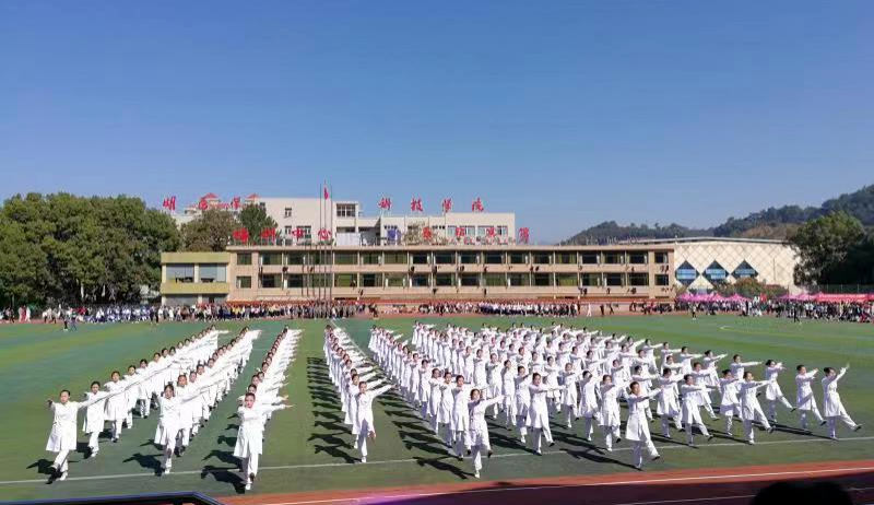2023�������t(y��)�W(xu��)�Ƽ��I(y��)�W(xu��)Ժ��������