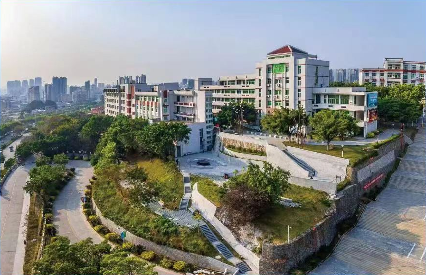 2023�������I(y��)��W(xu��)�Կ����ƌW(xu��)�v������(ji��n)��